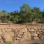 Hébergement de vacances Olive Guest Farm Akrata