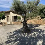 Olive Guest Farm Hébergement de vacances *