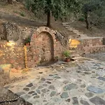 Olive Guest Farm