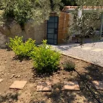 Olive Guest Farm
