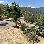 Olive Guest Farm *