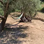 Olive Guest Farm Hébergement de vacances *