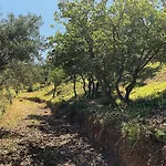 Olive Guest Farm Holiday home Akrata