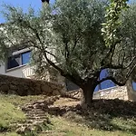 Olive Guest Farm *