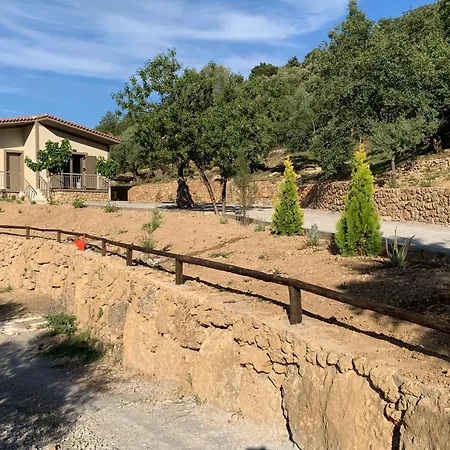 Olive Guest Farm Semesterbostad Akrata