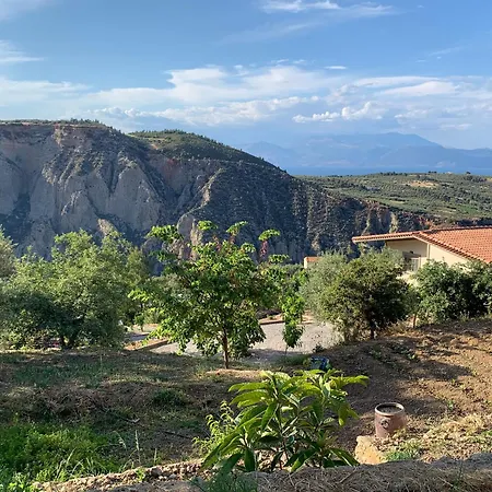 Olive Guest Farm Akrata