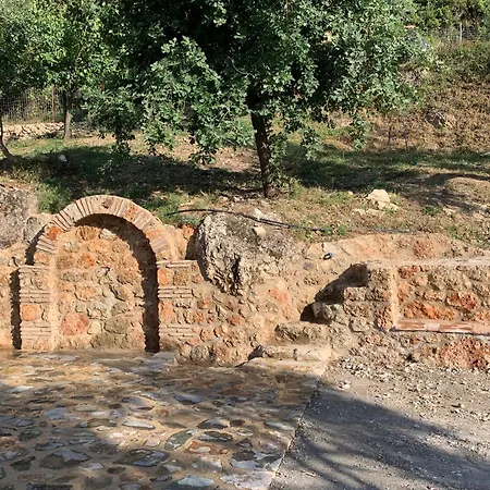 Olive Guest Farm