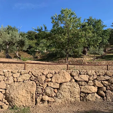 Holiday home Olive Guest Farm Akrata