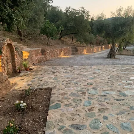 Olive Guest Farm * Akráta