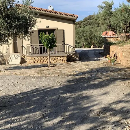 Olive Guest Farm בית נופש