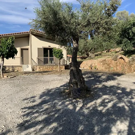 Olive Guest Farm בית נופש *