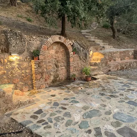 Olive Guest Farm