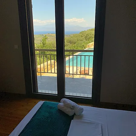 Olive Guest Farm *