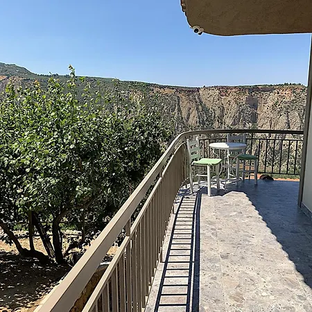 Olive Guest Farm *