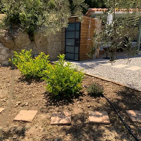Olive Guest Farm