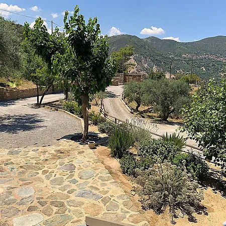 Olive Guest Farm *