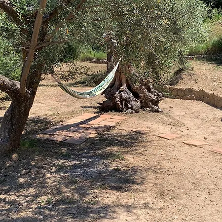 Olive Guest Farm Semesterbostad *