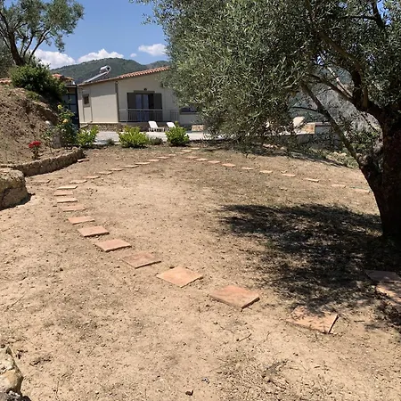 Olive Guest Farm Akráta