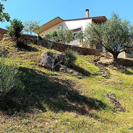Semesterbostad Olive Guest Farm