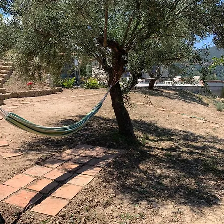 Semesterbostad Olive Guest Farm Akrata