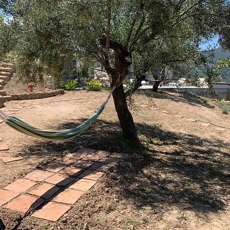 Semesterbostad Olive Guest Farm Akrata