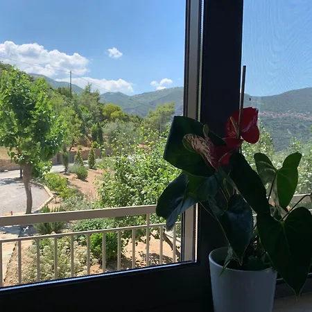 Tatil Evi Olive Guest Farm *