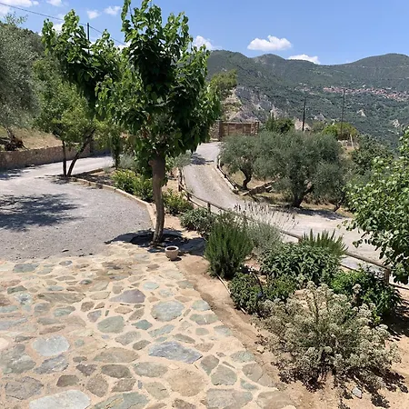 Olive Guest Farm Tatil Evi