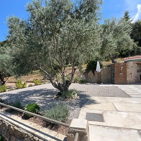 Olive Guest Farm *