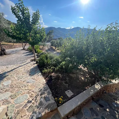 Olive Guest Farm