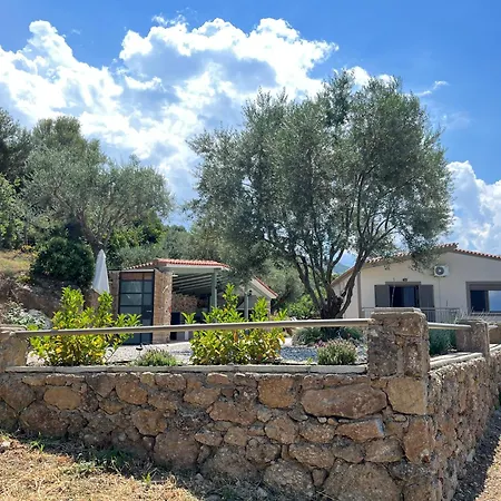 Olive Guest Farm Semesterbostad