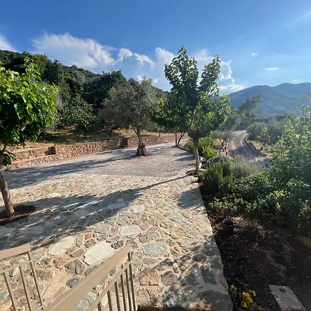 Olive Guest Farm Semesterbostad Akrata