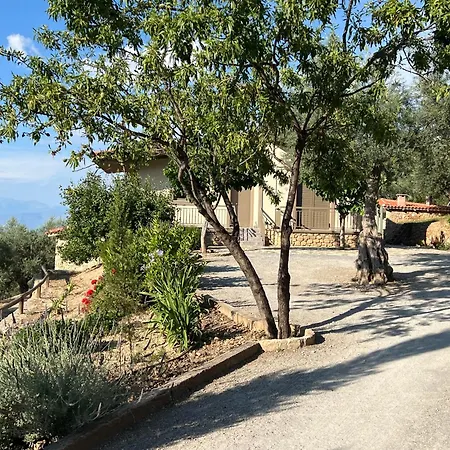 Olive Guest Farm * Akrata