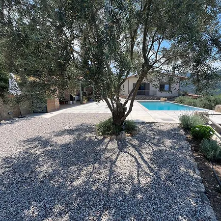 Olive Guest Farm