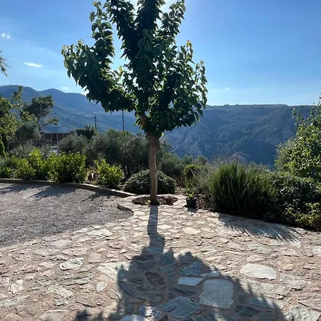 Olive Guest Farm Semesterbostad *