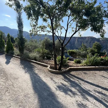 Olive Guest Farm * Akrata