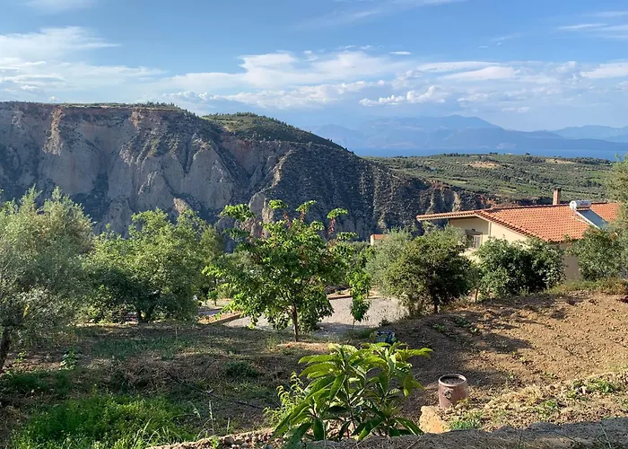 Olive Guest Farm Akrata