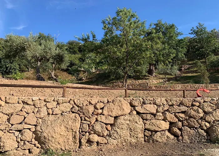 Casa de Férias Olive Guest Farm Akrata