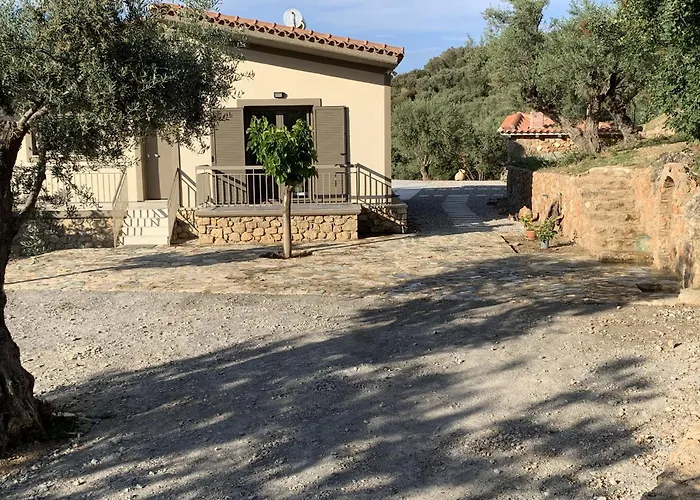 Olive Guest Farm Casa de Férias