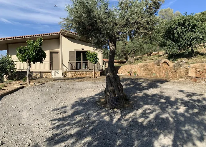 Olive Guest Farm Casa de Férias *