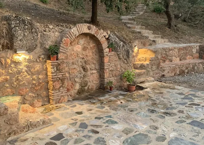 Olive Guest Farm