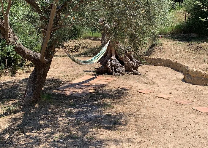 Olive Guest Farm Casa de Férias *