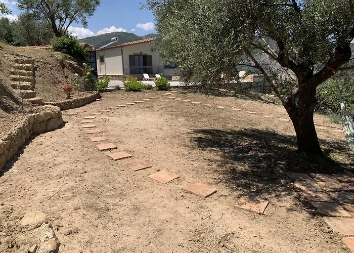 Olive Guest Farm Akrata