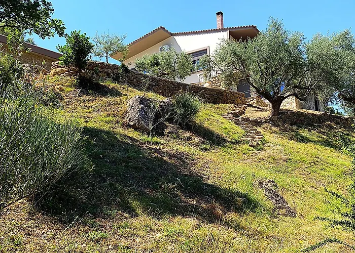 Casa de Férias Olive Guest Farm