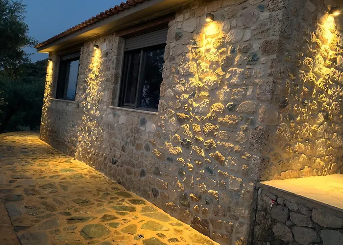 Olive Guest Farm Akrata