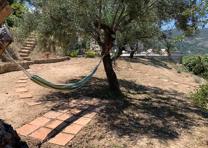 Casa de Férias Olive Guest Farm Akrata