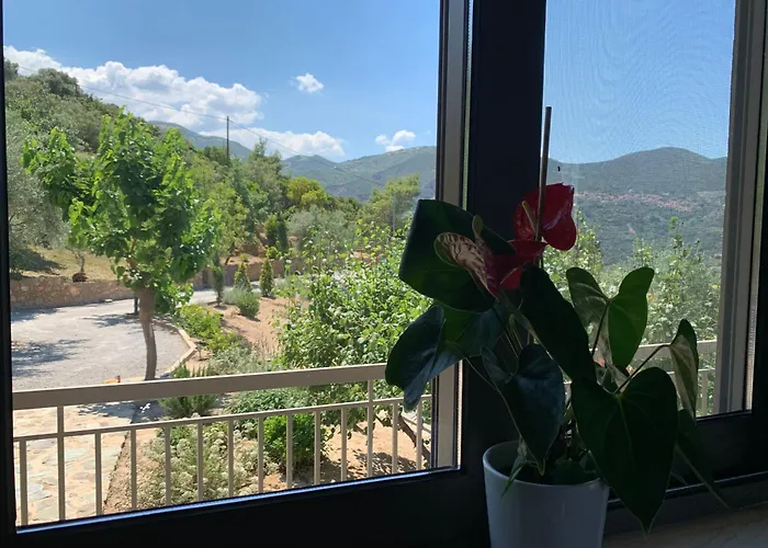 Vakantiehuis Olive Guest Farm *