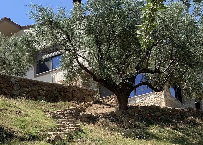 Olive Guest Farm *